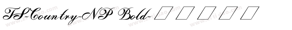 TS-Country-NP Bold字体转换